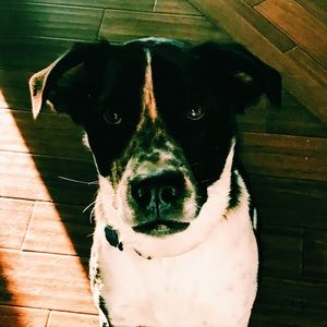 Meet your Posher, Ava